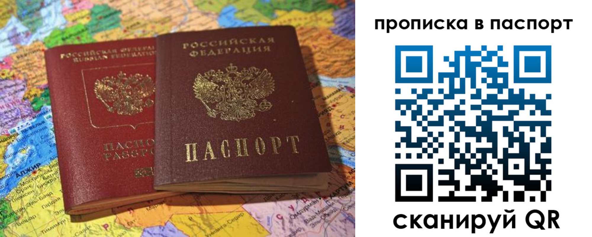 прописка гарантия в Ясном